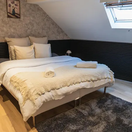 Simple Private In 5br Shared Apartment, Well Connected Location Appartement Gand