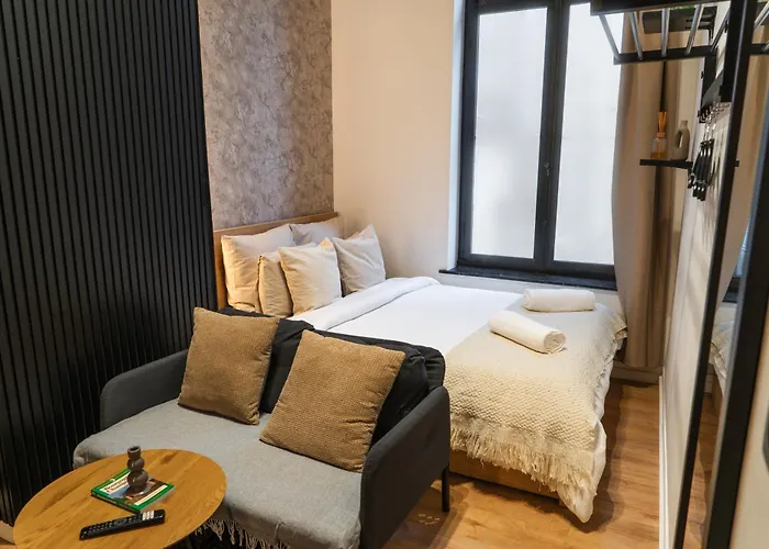 Simple Private In 5br Shared Apartment, Well Connected Location * Ghent