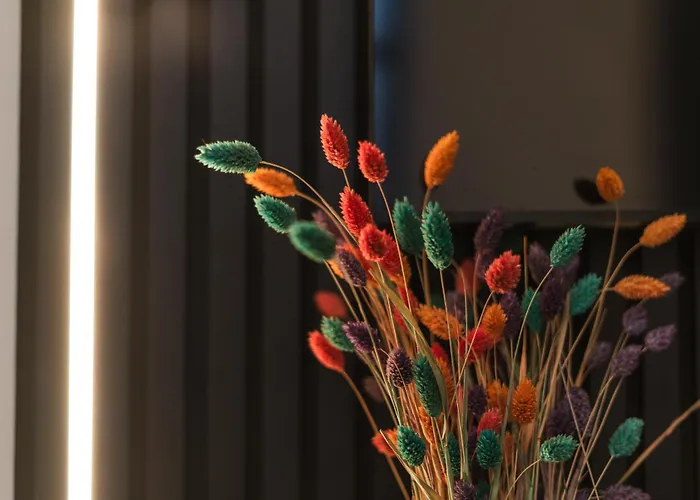 Simple Private In 5br Shared Apartment, Well Connected Location